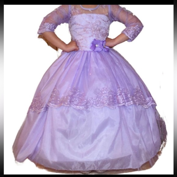 Custom princess dresses in a long sleeve and in color purple! Size 6 - Picture 1 of 16